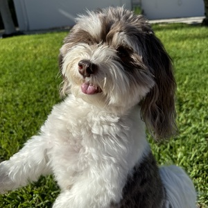 Smith Currie Oles LLP